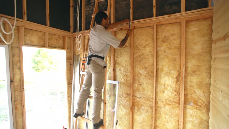 Trusted Taylor, TX Insulation Experts